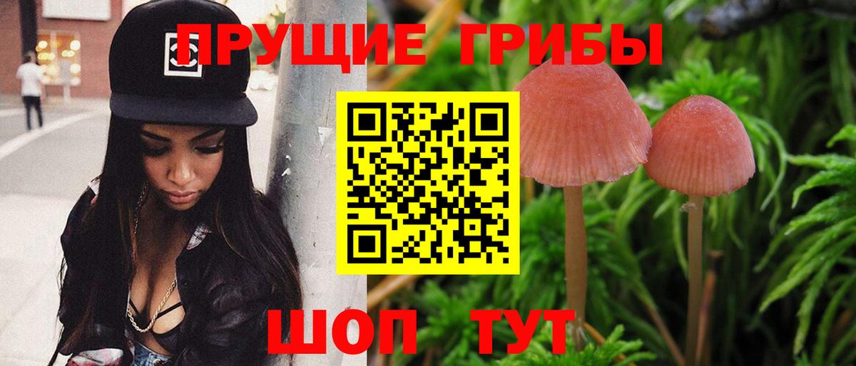 Бердск  Псилоцибиновые грибы MAGIC MUSHROOMS  Вход с VPN 